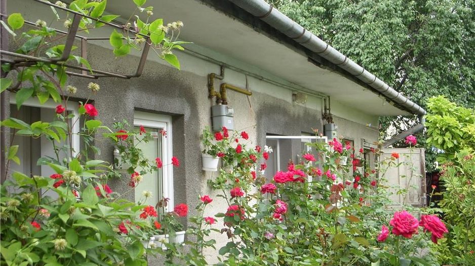 BRASADAS vinde casa singur in curte in zona semicentrala. - Poză 4