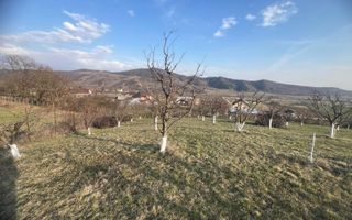 Teren 3100 mp-livada-ideal casa-Mititei - Poză 3