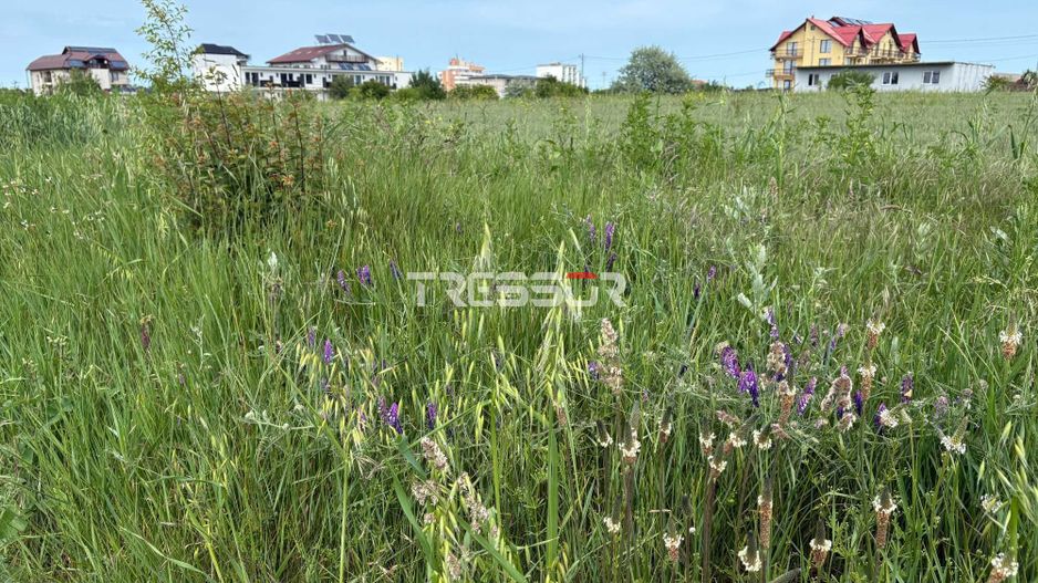 Teren intravilan 633 mp, Costinești, zonă cu potențial investițional - Poză 2