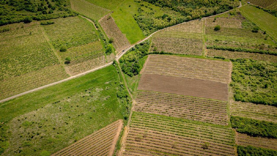 Teren extravilan - 3654 mp Dealul Șiriei - Poză 6