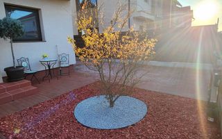 Vilă elegantă cu grădină amenajată – Tămași, Corbeanca, Construcție 2023 - Poză 24