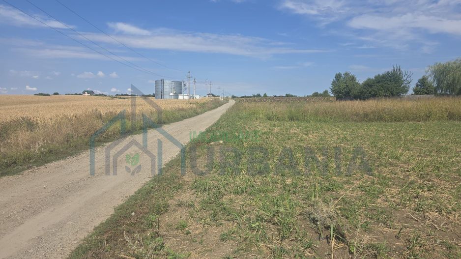 Teren construibil 500 mp, Platou Beldiman, Rediu - Poză 2