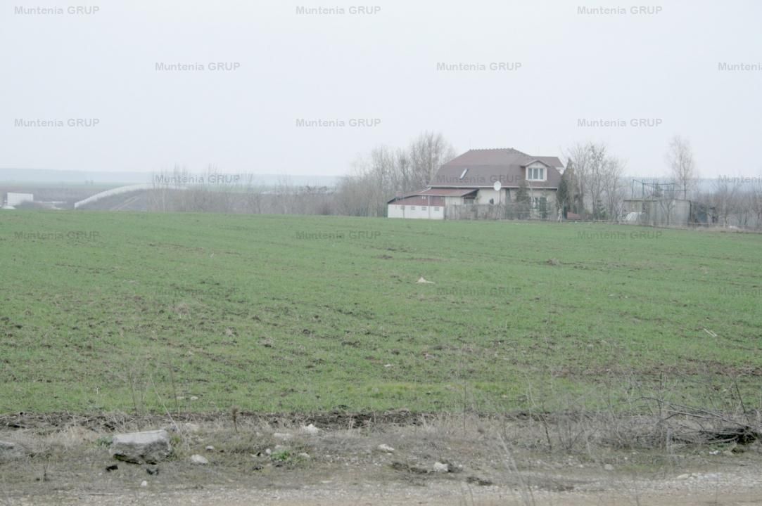 MOARA VLASIEI, langa nodul Autostrazii A3, 10200 mp. teren cu pozitie stradala - Poză 4