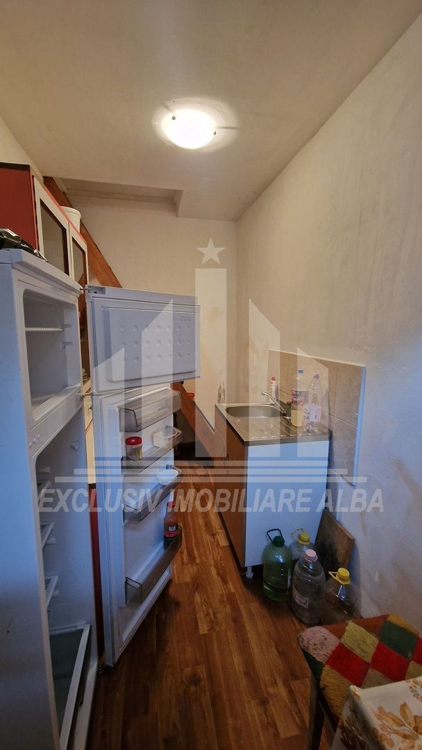 Casa cu livada in Cetea - Poză 21