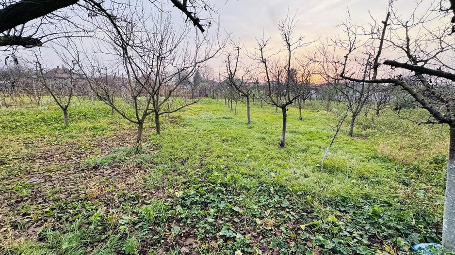 Casa Diosig + Cinematograf si teren - Poză 13