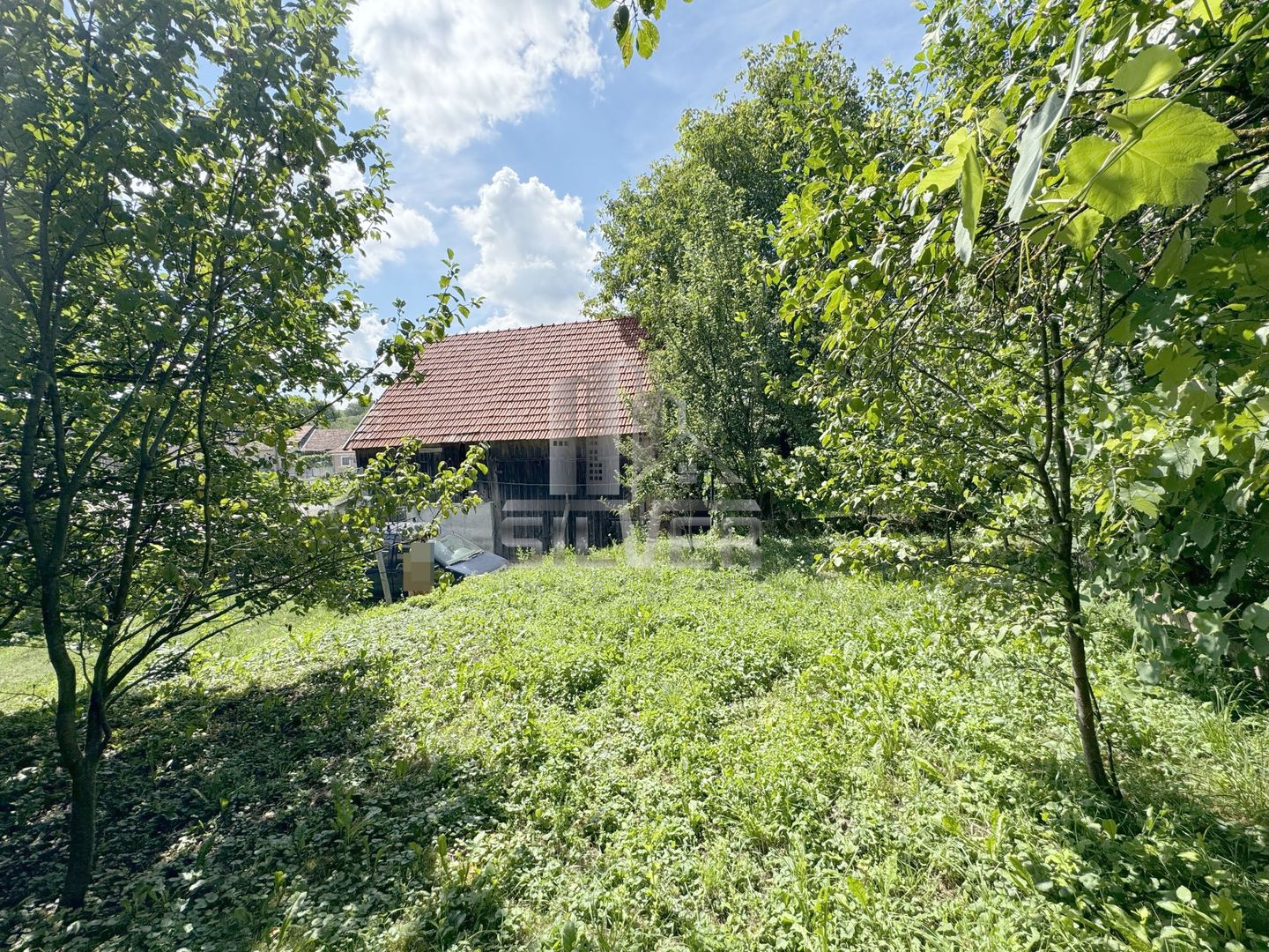 Casa individuala in Com. Capusu Mare/Sat Dumbrava. - Poză 6