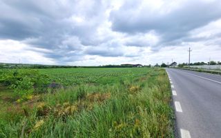 OVIDIU (COD 02)  - teren extravilan 4000 mp - Poză 1