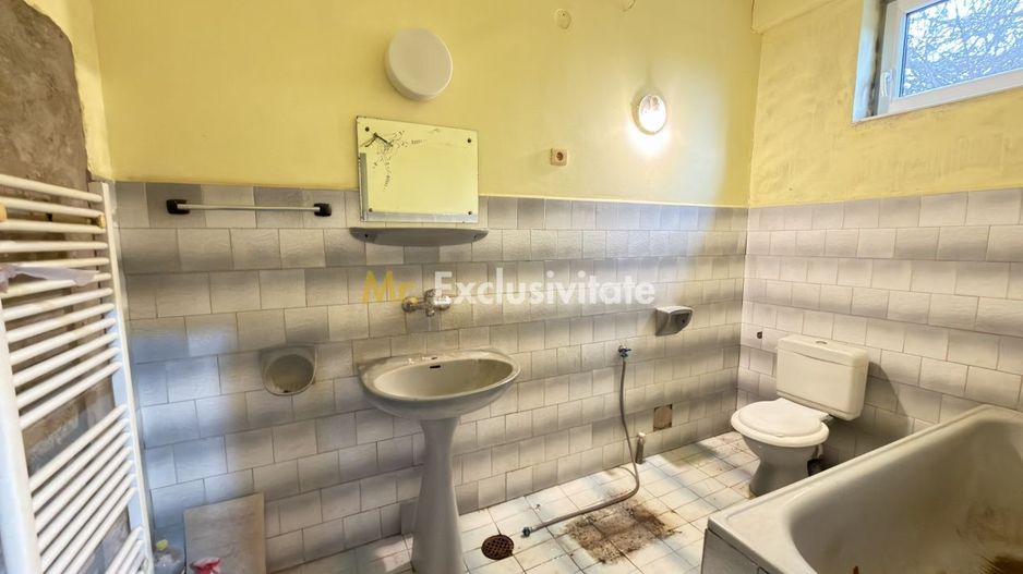 Proprietate cu 2 case | Teren 546 mp | Str. Albinelor Nr.18 - Carei - Poză 10