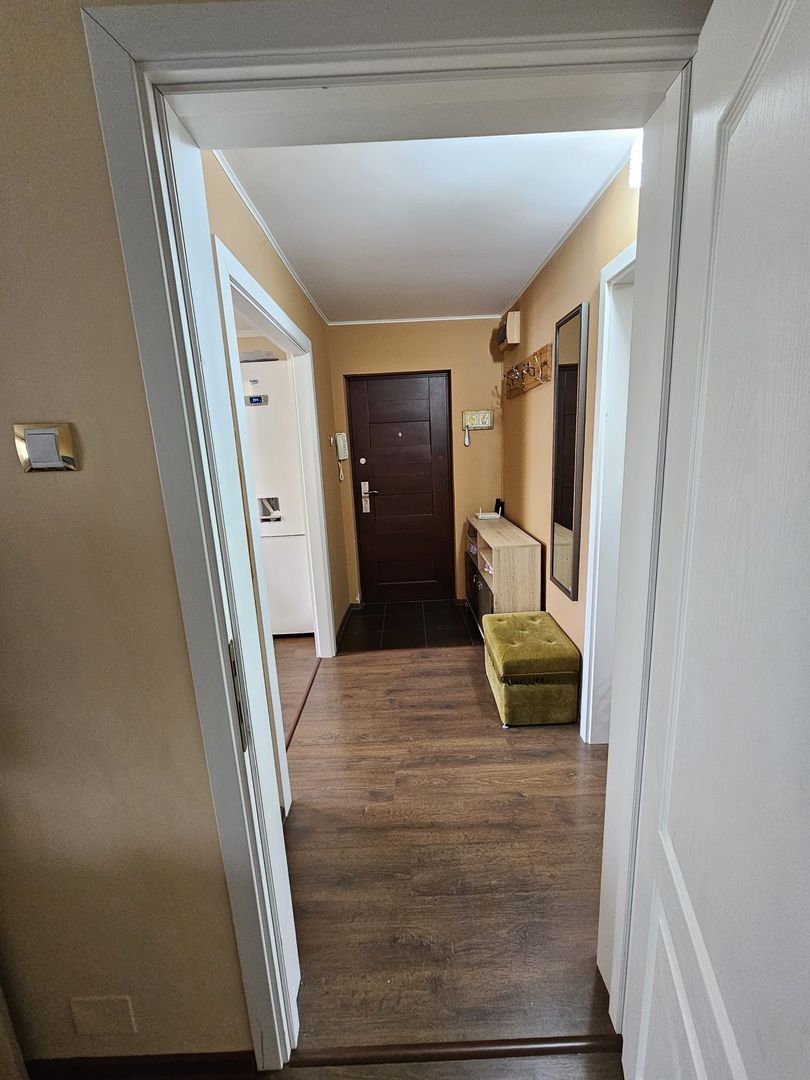 APARTAMENT 3 CAMERE LIPOVEI - Poză 8