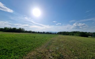 De vanzare 1974mp teren intravilan, cu utilitati, Oarda de Sus - Poză 1