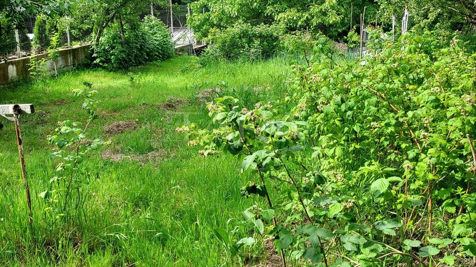 Teren de vis în Faget: Oportunitate unică pentru construirea casei tale ideale. - Poză 3