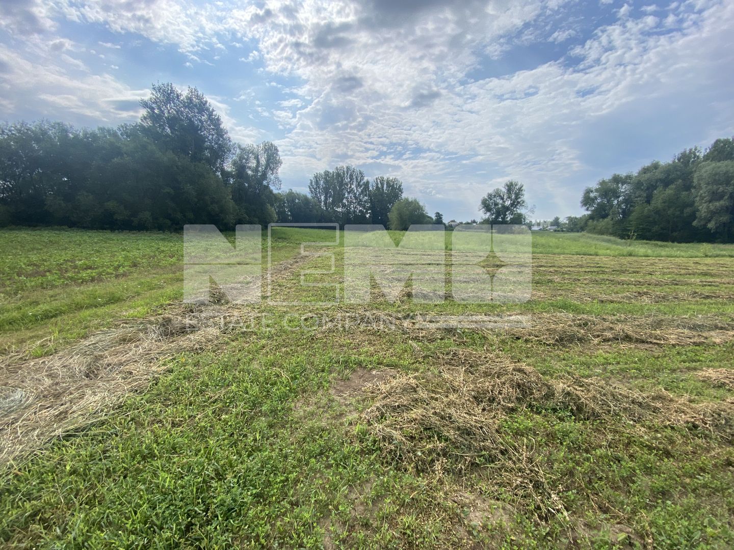 Teren Extravilan | 23 Ari | Satu Mare - Poză 1