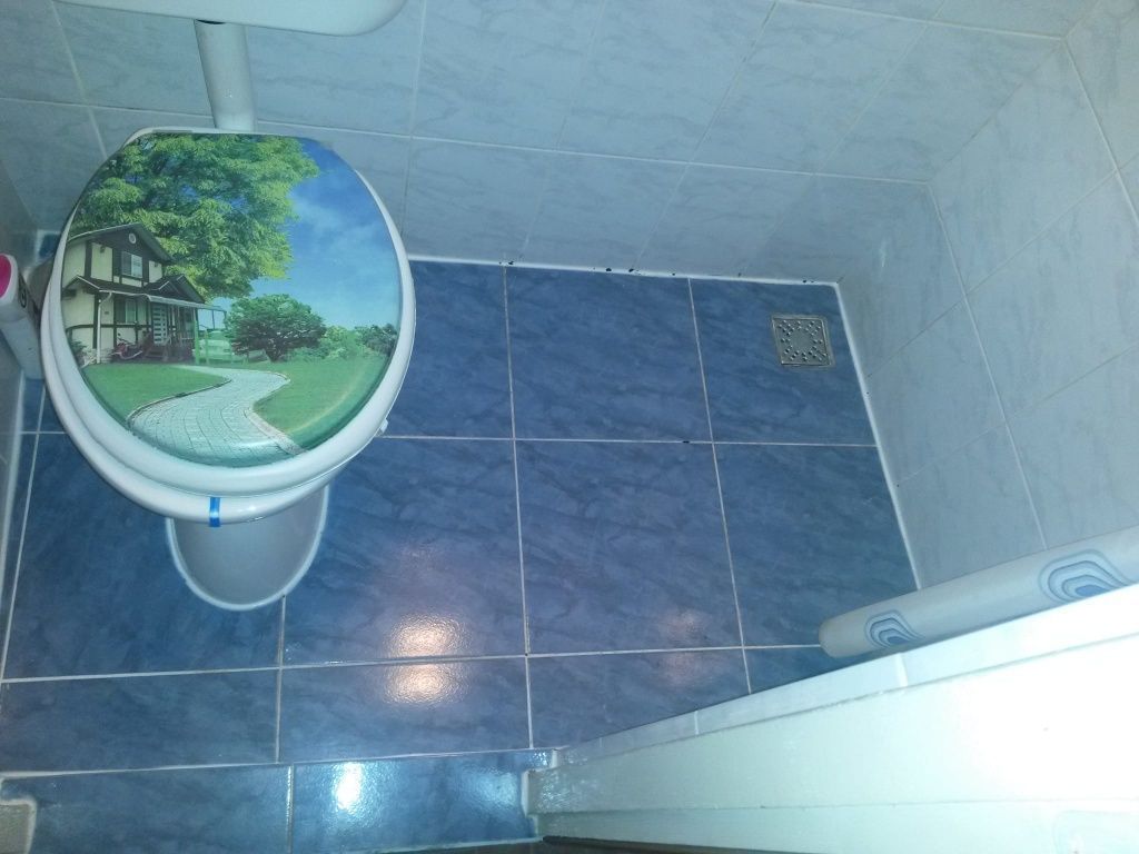 Garsoniera zona Buziasului - Poză 8