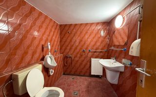 Spatiu comercial | La strada | 200 MP | Teren 300MP | Vestem - Poză 8