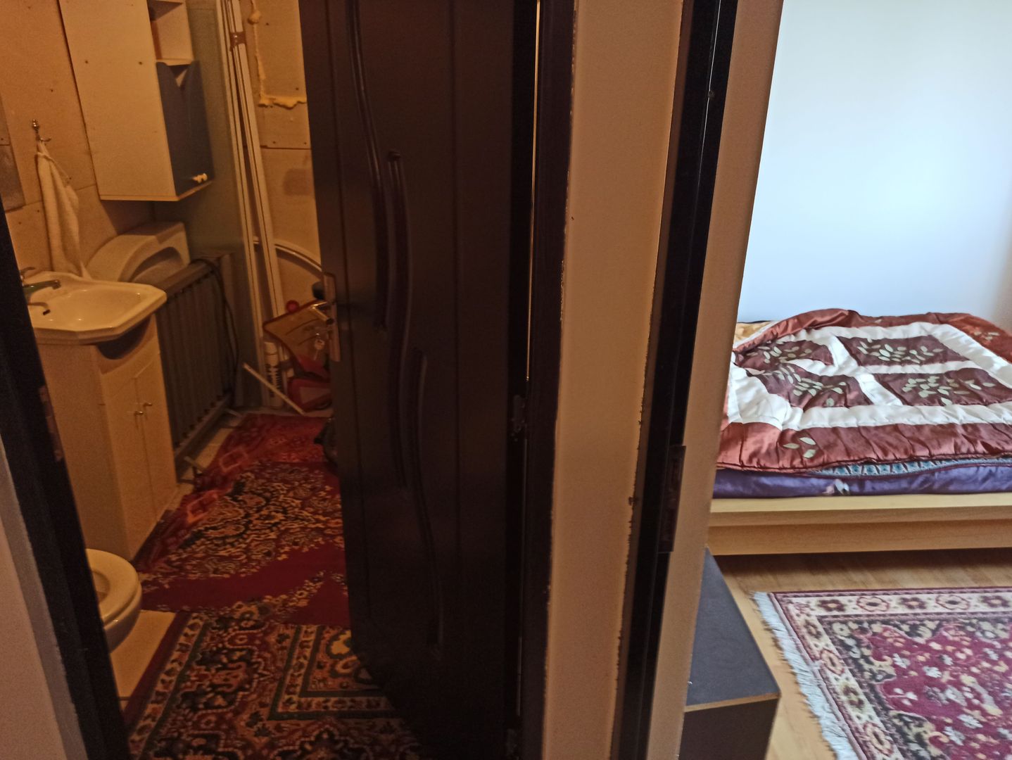 vila indiv+1198mp teren/pe DN4(sosBucuresti) in Frumusani/jud.Calarasi - Poză 71