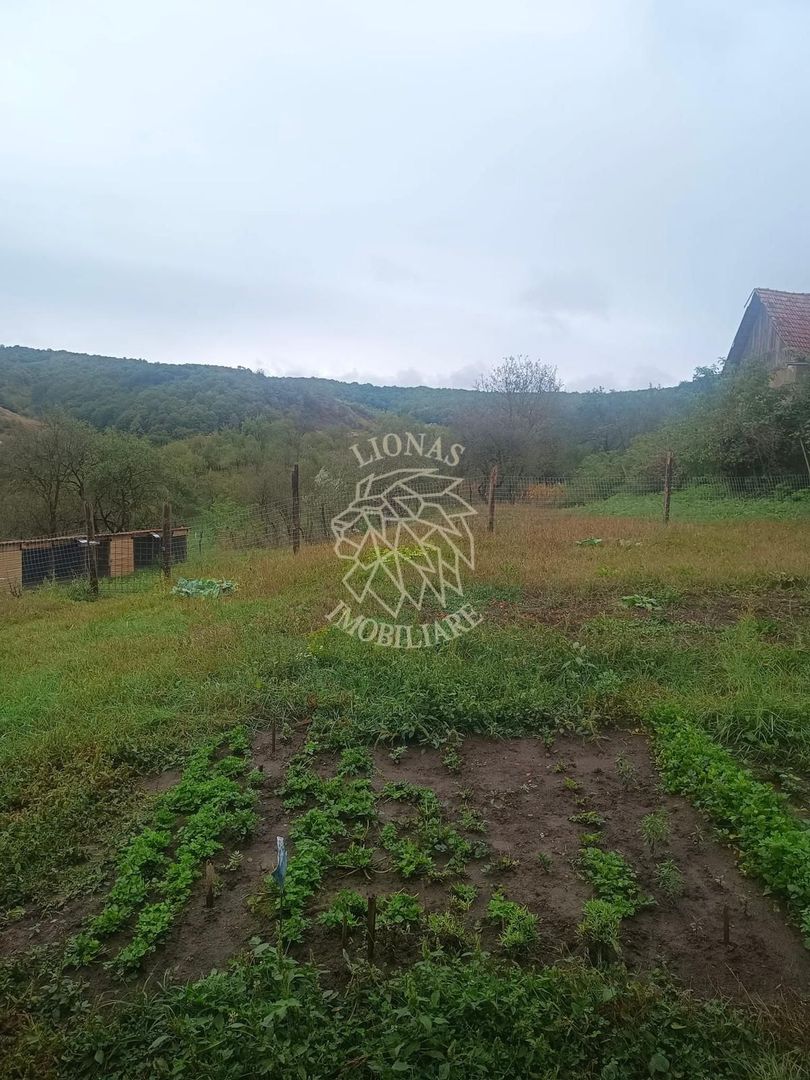 2 Case 100 mp -teren 3576mp-livada-garaj-Enciu 37 km de Bistrita - Poză 7