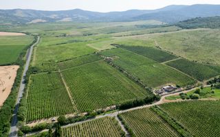 Vie Tradițională „Halta Lupilor” - Poză 33