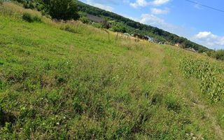 Teren intravilan de vânzare – Unirea - Poză 3