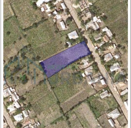 Teren intravilan de 1550 mp în localitatea Buznea, strada Corneliu Coposu - Poză 7