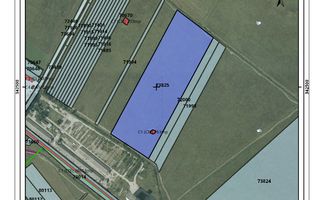 Teren 25 ha de vanzare | Ciocanesti | Dambovita | Crevedia - Poză 2