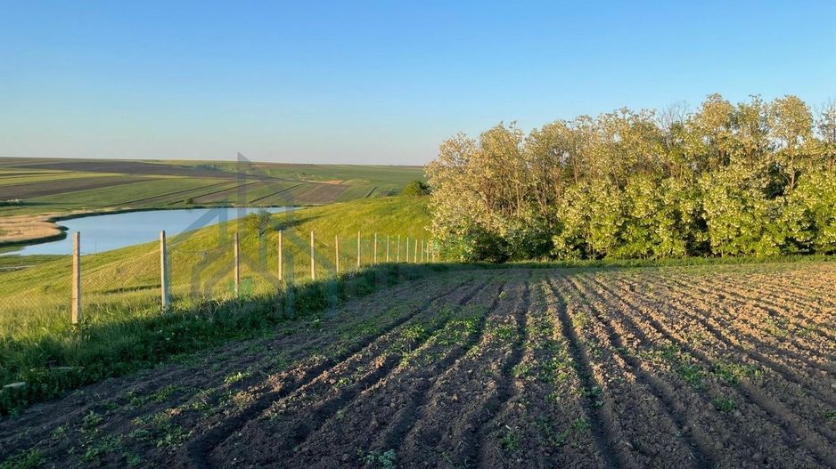 Intravilan preț mic - Poză 5