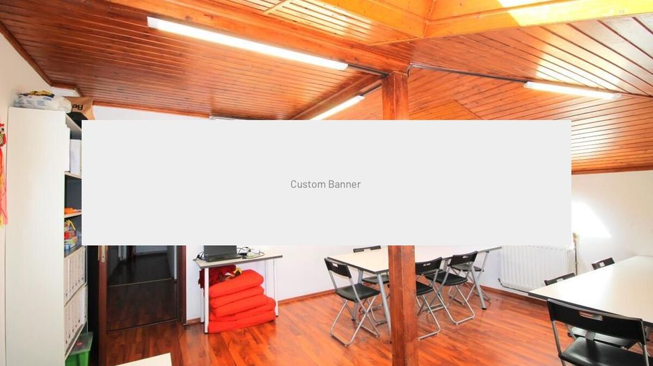 Salcamilor - Bd. Dacia, Vila renovata 223 mp utili, inchiriata! - Poză 66