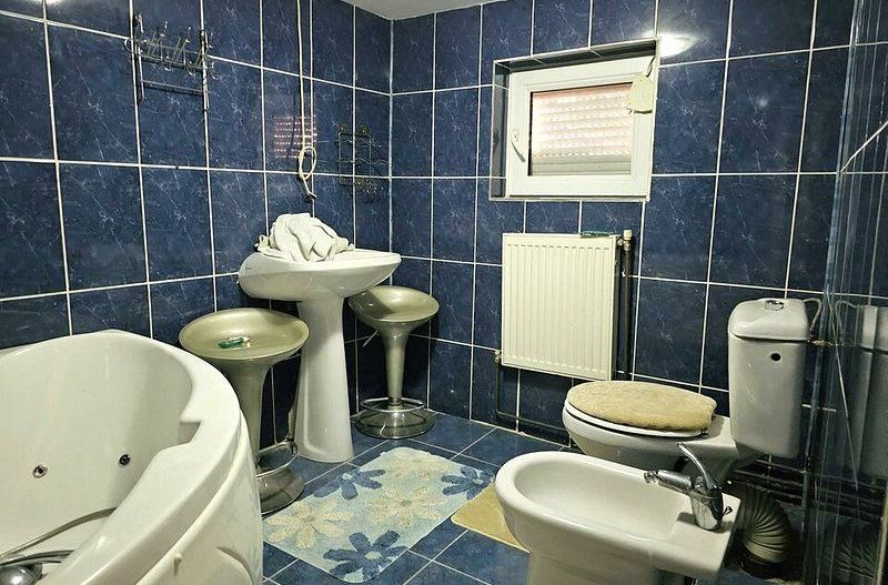 Casa individuala zona centrala - Facultatea de mecanica - Poză 9