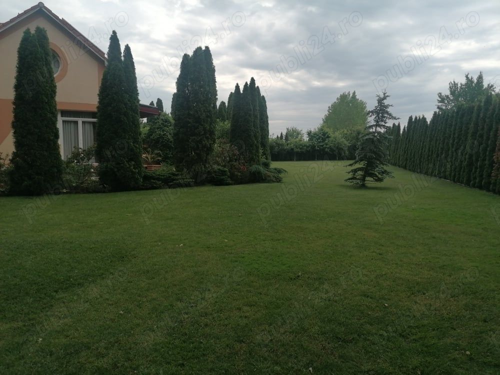 Vând casă Satu Mare P+M+D - Poză 4