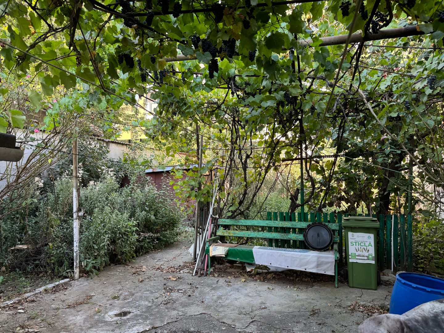 Casa si teren intravilan 512 mp | Bd. Uverturii – zona Cernisoara - Poză 14