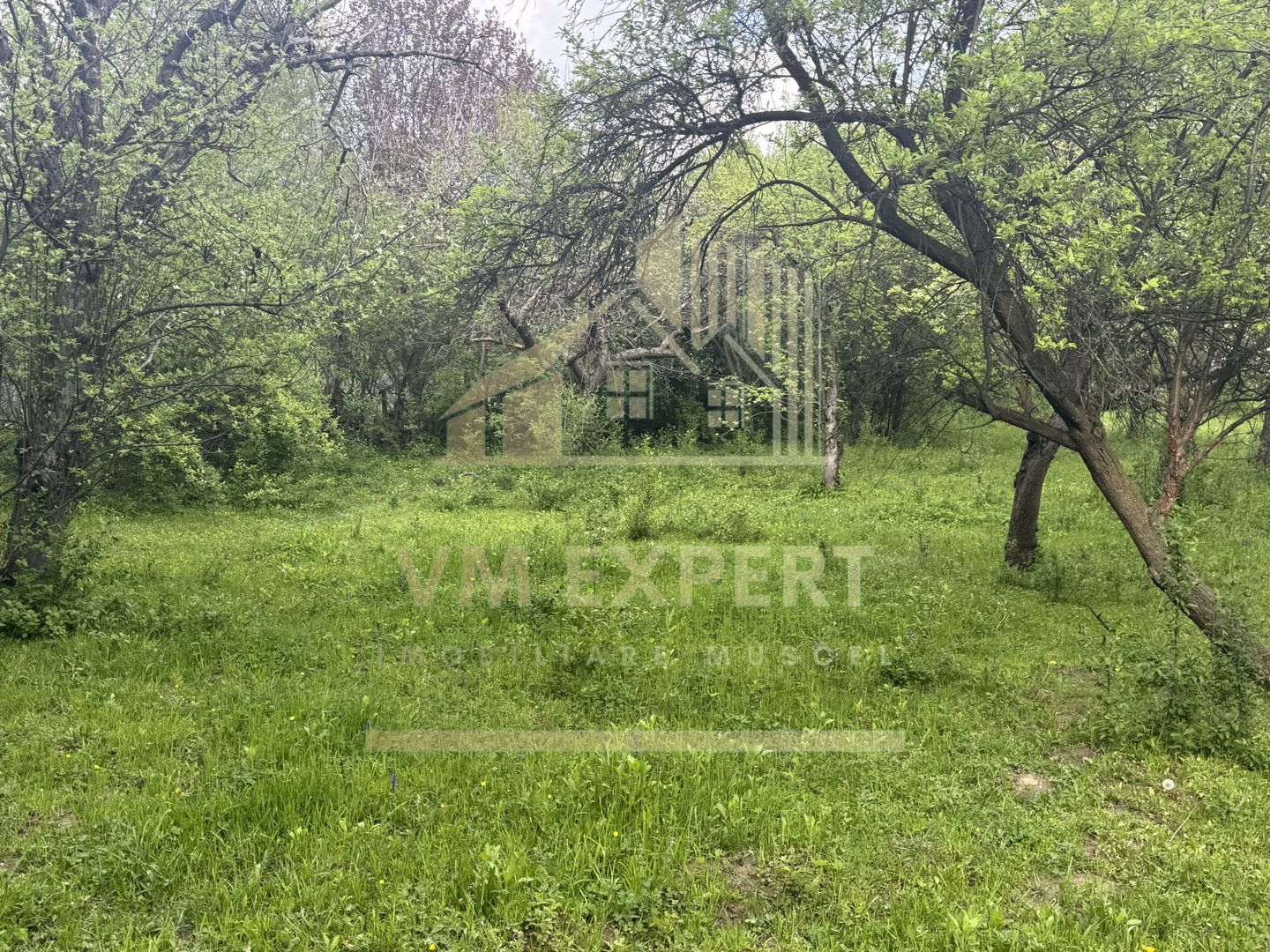 TEREN INTRAVILAN 7018 MP CAMPULUNG - Poză 33