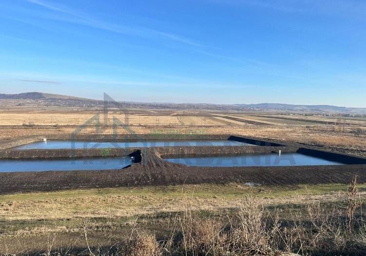 Amenajare piscicola de vanzare, 19.000 mp, Bursuc Deal, Comuna Lespezi, Judetul Iasi - Poză 1