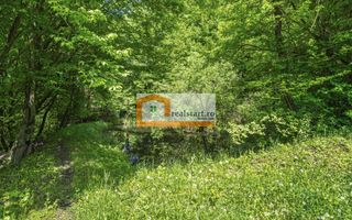 Oportunitate, Restaurant cu MiniPensiune 800mp, 1,8ha teren, Via Transilvanica - Poză 64