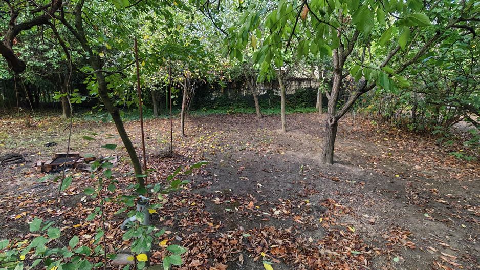 Teren de vanzare cu doua fronturi stradale - Poză 9