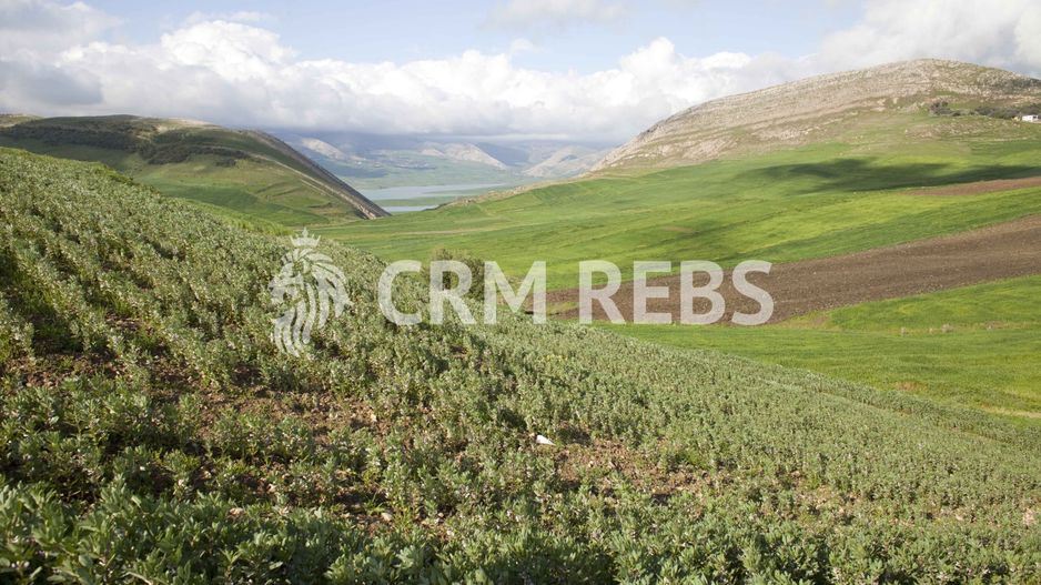 Teren cu proiect de duplex de vanzare - Poză 2