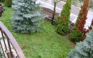 Casa P+M - Cornu de Sus - Poză 15