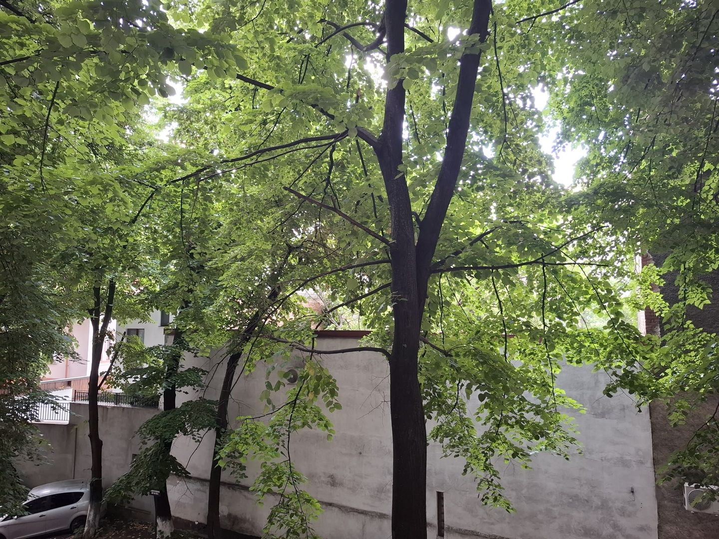 URGENT!, renovat complet, vedere spate, mobilat/utilat modern, liber - Poză 15