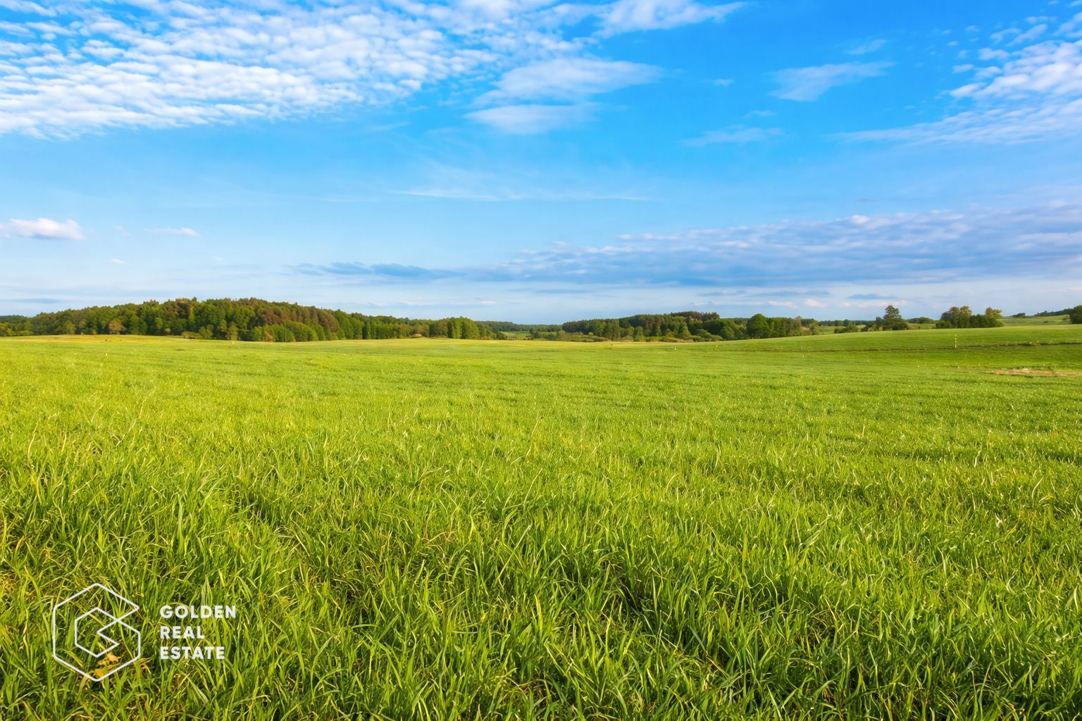 Teren extravilan, 23 400 mp, Cuvin (Ghioroc) - Poză 1