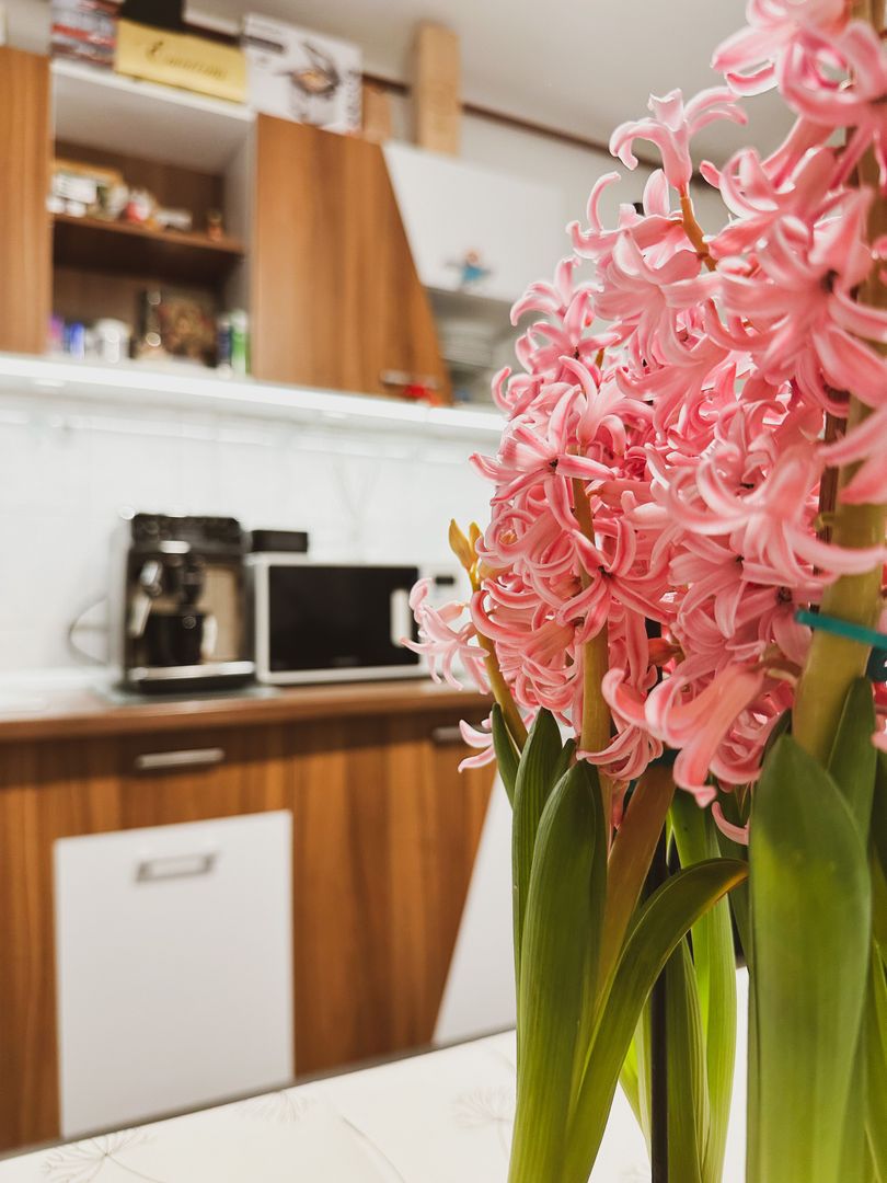 VANDUT - 2 camere - Telegrafului - Poză 11