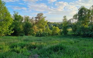 Teren Intravilan Ilisesti/Suceava - Poză 10