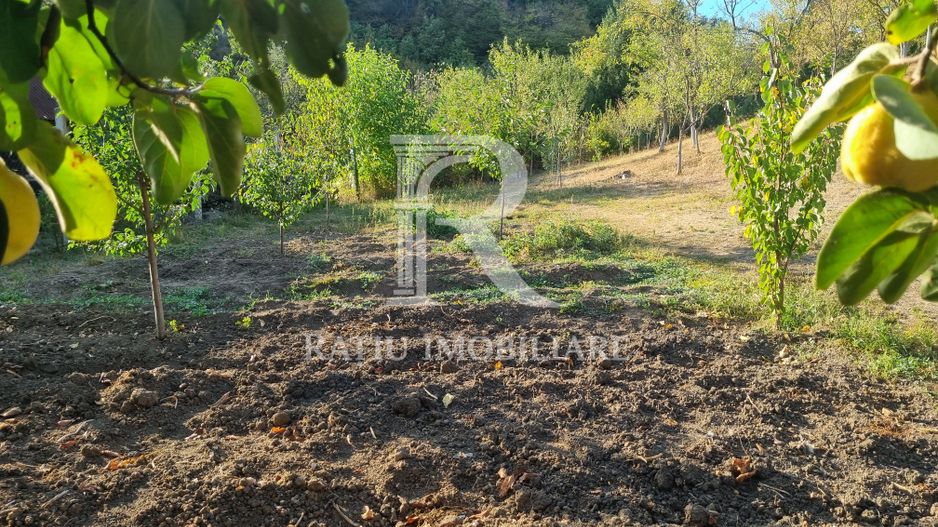 Casă renovata cu teren generos | Anexe | Gurasada | Hunedoara - Poză 43