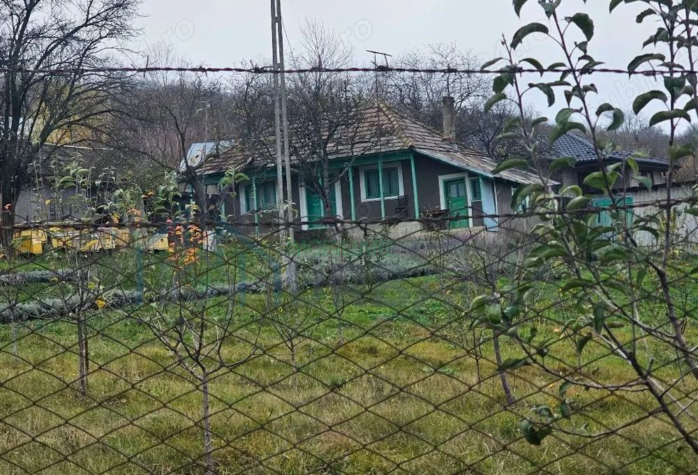 Casa + teren generos 5000 mp intravilan cu livada tanara si vita de vie productiva. - Poză 3