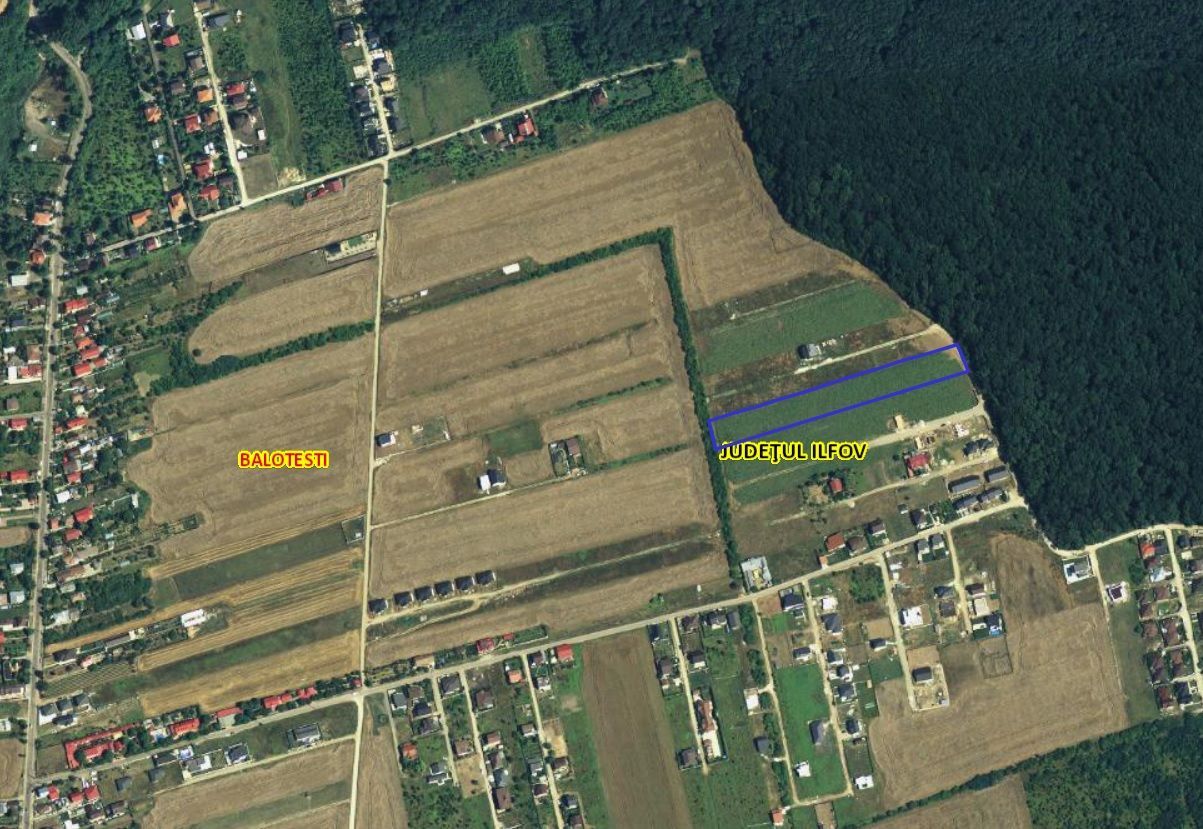 Balotesti- Dumbraveni- Padure - Poză 2