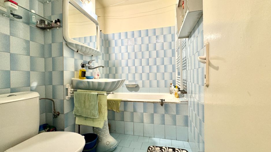 Apartament cu 2 camere, etajul 1, in zona Girocului - Liviu Rebreanu - Poză 15