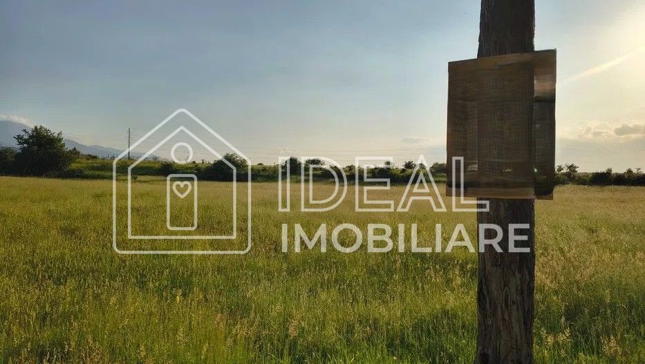 Teren extravilan de vânzare | Cârțișoara | 1800 mp - Poză 6