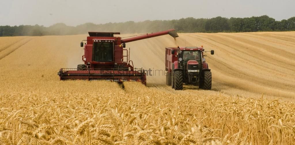 OCAZIE !!! Terenuri agricole de vanzare in Hidiselu de Sus - Poză 1