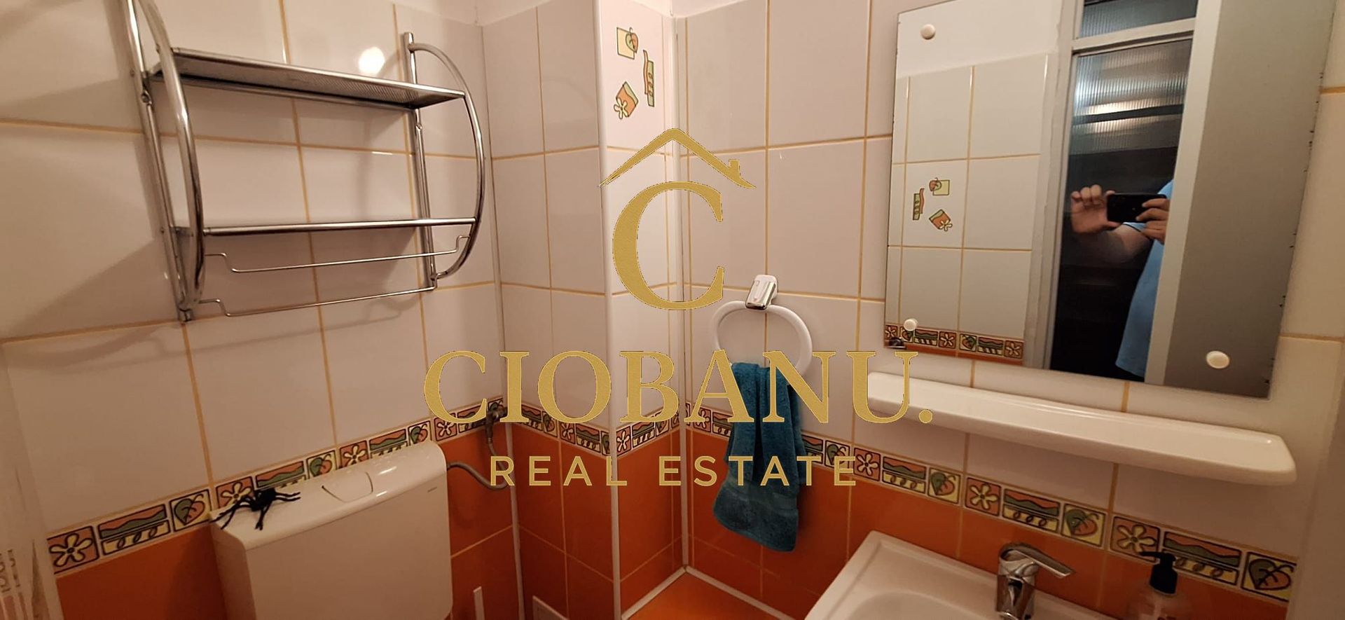 Apartament 3 camere DECOMANDAT etaj 2/4 de vanzare zona Lapus Arges - Poză 10