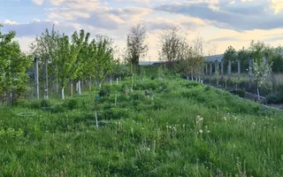 Casa pentru 2 familii, 7 Camere, 2 Garaje, 1500MP Teren - Poză 31