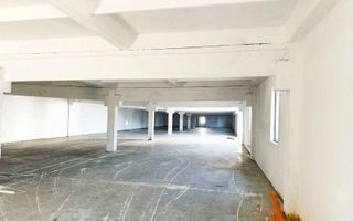 Inchiriere Hale Industriale în Aluniș, Arad  250 mp-1.500 mp - Poză 7