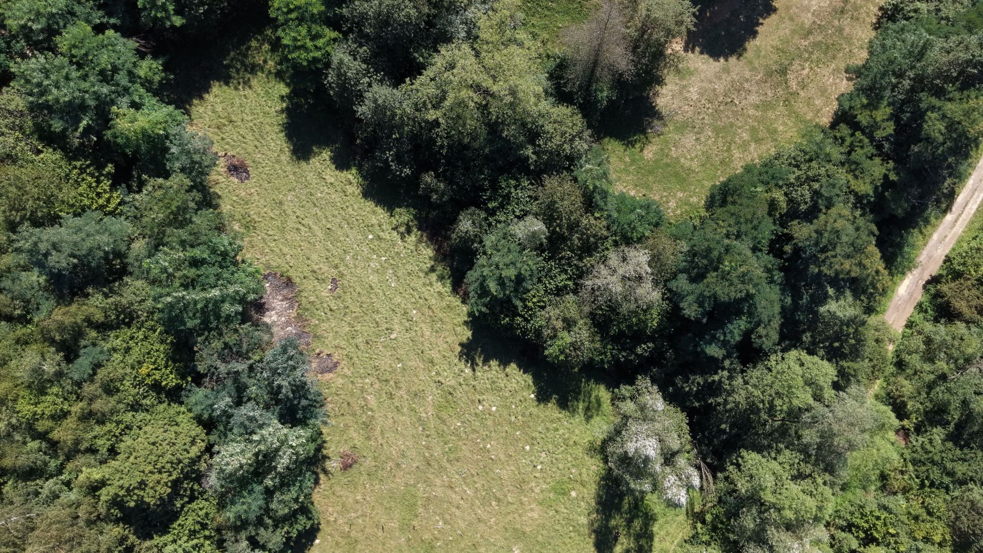 TEREN DE VÂNZARE – ZĂRNEȘTI 2200 Mp - Poză 9