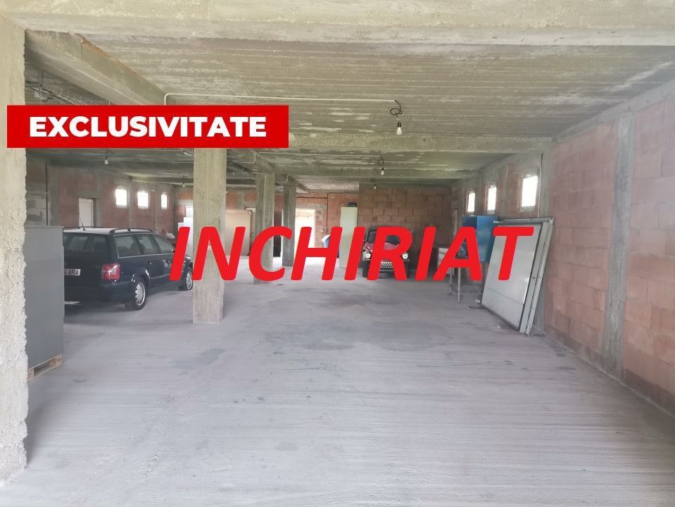 Inchiriere hala depozitare si teren, Labusesti - Poză 1